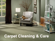 Carpet Cleaning & Care Video