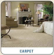 Carpet! All Brands and Styles